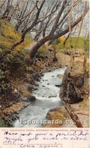 Strawberry Creek, University of California - Berkeley  