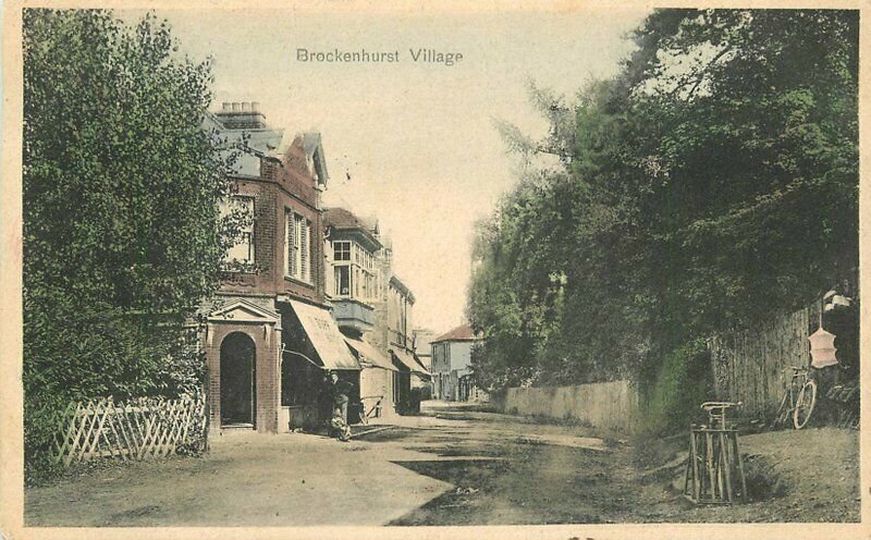 UK New Forest Hampshire 1905 hand colored Brockenhurst Village Postcard 22+4135