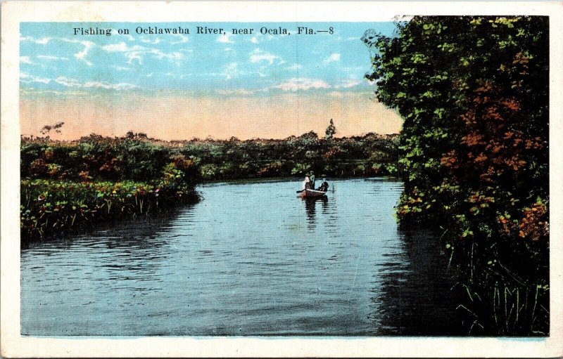 Ocklawaha River Ocala Florida Scenic Tropical River Landscape WB Postcard 