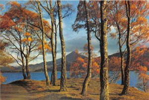 uk46436 shore of loch rannoch perthshire scotland uk