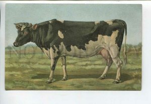 443574 RUSSIAN BUNGART thoroughbred cow Vintage BAGGOVUT postcard