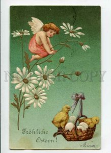 3091654 Winged ANGEL on CAMOMILE & Chickens Vintage Embossed PC