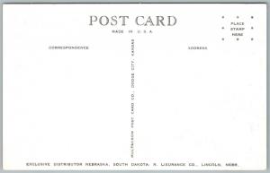 EXAGGERATED VINTAGE POSTCARD HOPPER & SADDLE