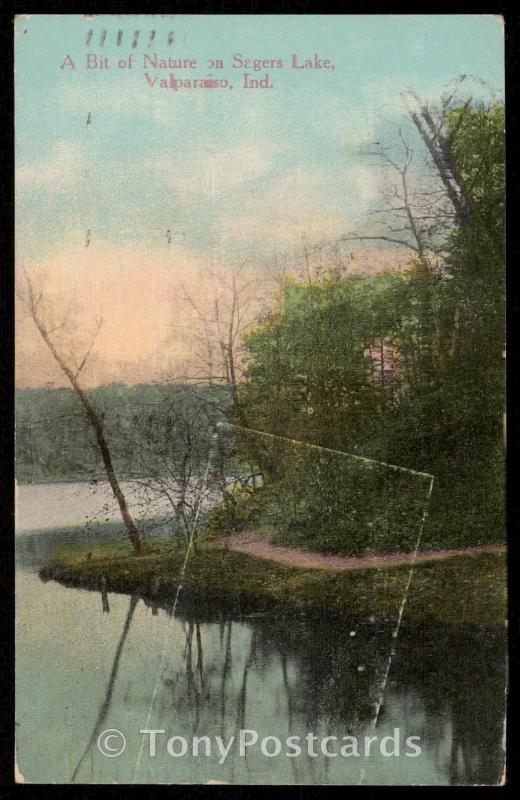 A Bit of Nature on Sagers Lake