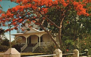 Vintage Postcard Poincianas Framing Old Homesite Beautiful Key West Florida FL