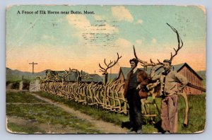 J97/ Butte Montana Postcard c1910 Elk Horn Antlers Fence Men 383