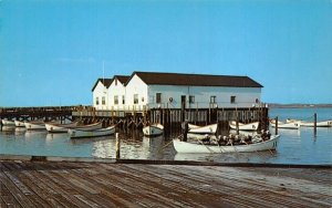 Training Boats, Moored at Boat Docks in Cape May, New Jersey