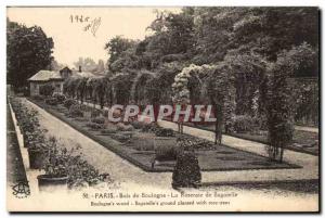 Bois de Boulogne Old Postcard La Bagatelle rose garden