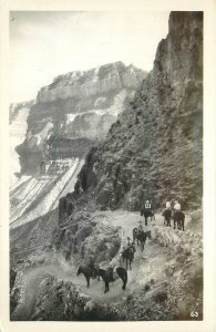 Postcard RPPC 1940s Arizona Grand Canyon NP Mule Train 23-11759