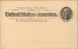 Niagara Falls NY Pioneer Government Postal Card 1890s