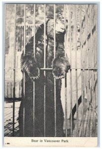 c1910's Bear In Vancouver Park Vancouver British Columbia Canada Postcard