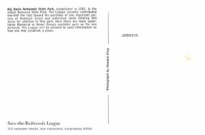 Big Basin Redwoods State Park - California