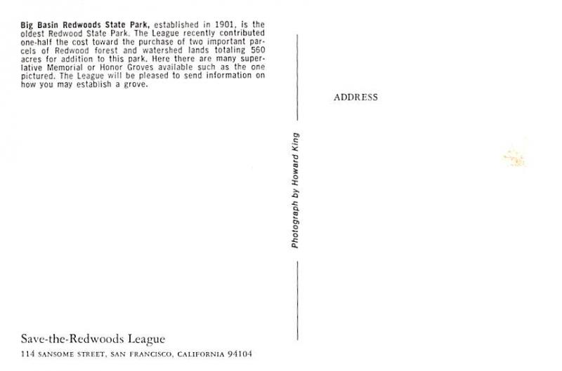 Big Basin Redwoods State Park - California