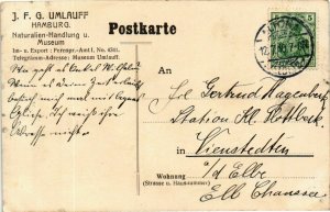 CPA AK Hamburg Ragoutschale GERMANY (897702)