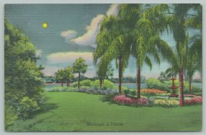 Florida~Moonlight Scene~1940s Linen Postcard
