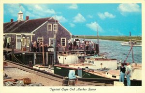 MA, Cape Cod, Massachusetts, Harbor Scene