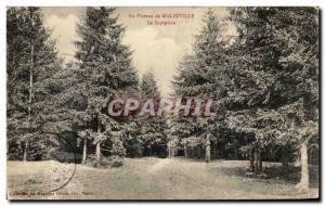 Old Postcard In Plateau Malzeville La Sapiniere