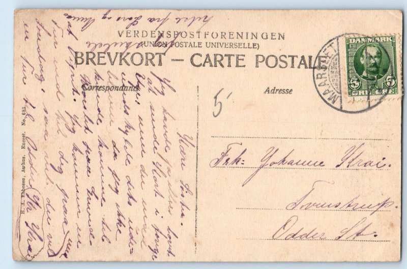 Midtjylland Denmark Postcard Street Part in Maarslet c1910 Antique Posted