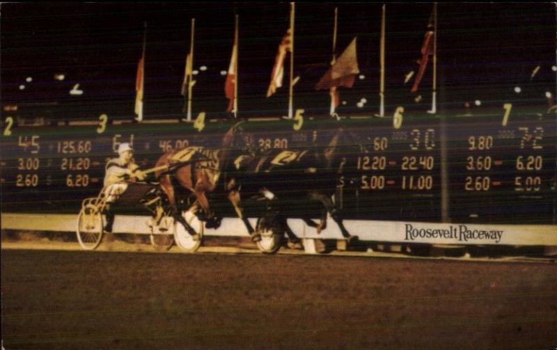 Westbury Long Island NY Harness Horse Racing Roosevelt Raceway Postcard