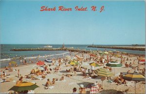 Postcard Shark River Inlet NJ