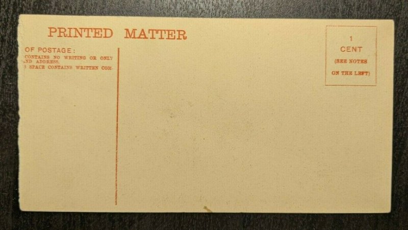 Unused Vintage Cunard R M S Lusitania Printed Matter Illustrated Postcard-