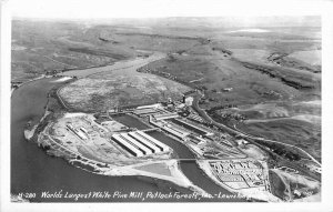 Lewiston Idaho White Pine Mill Potlatch Forests RPPC Photo Postcard 21-5023