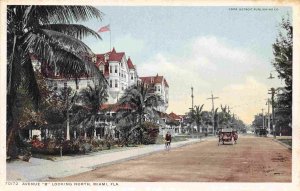 Avenue B Looking North Miami Florida 1910c Phostint postcard