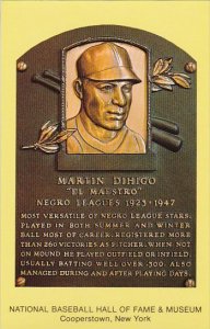 Martin Dihigo El Maestro Baseball Hall Of Fame & Museum Cooperstown New York