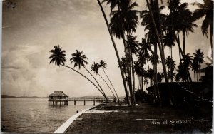 Singapore Waterfront Palm Trees c1935 Real Photo Postcard E84