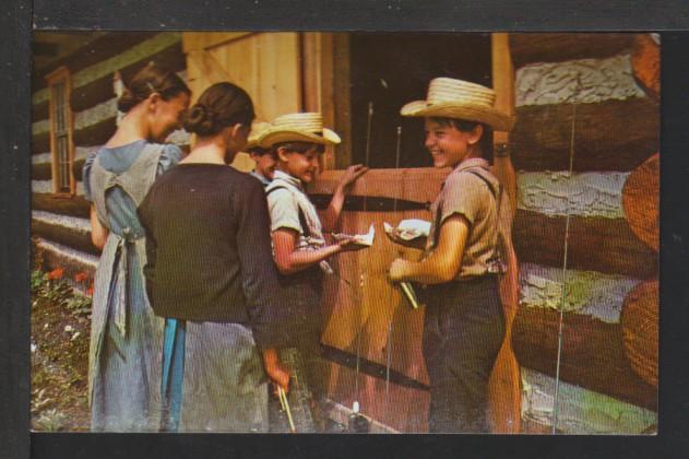 Amish Boys and Girls Postcard 