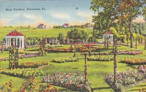 Pennsylvania Allentown View Of The Rose Gardens