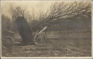 Massillon OH HE Sinnock c1910 RPPC Pulling Tree From Ground by Chain