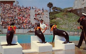 Marineland of the Pacific Rancho Palos Verdes California  