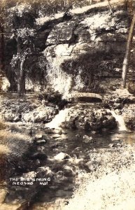 RPPC, Beautiful Big Spring in the Park, Neosho, MO, Blake Photo, Old Post Card