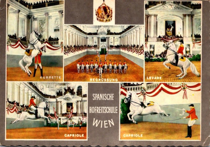 Austria Wien Vienna Spanische Hofreitschule Spanish Court Riding School 1970