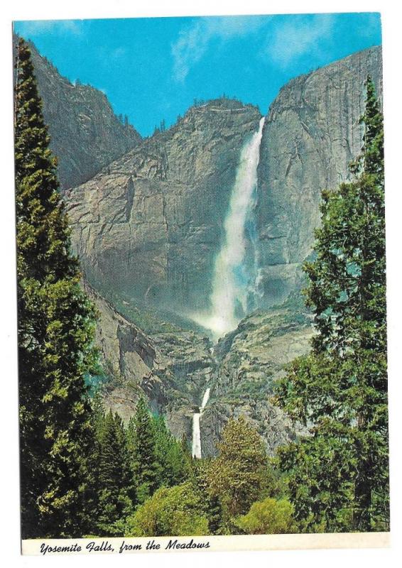 California Yosemite Falls from Meadow Waterfall Vtg Postcard