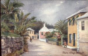 Bermuda - Ethel & CF Tucker View Postcard/Card - Flatts Village