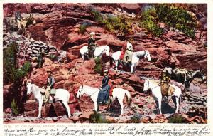 Horseback on Bright Angel Trail, Grand Canyon c1906 Antique Postcard F17