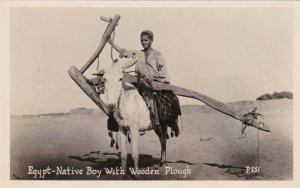 Egypt Native Boy With Wooden Plough Riding Donkey Real Photo sk2072a