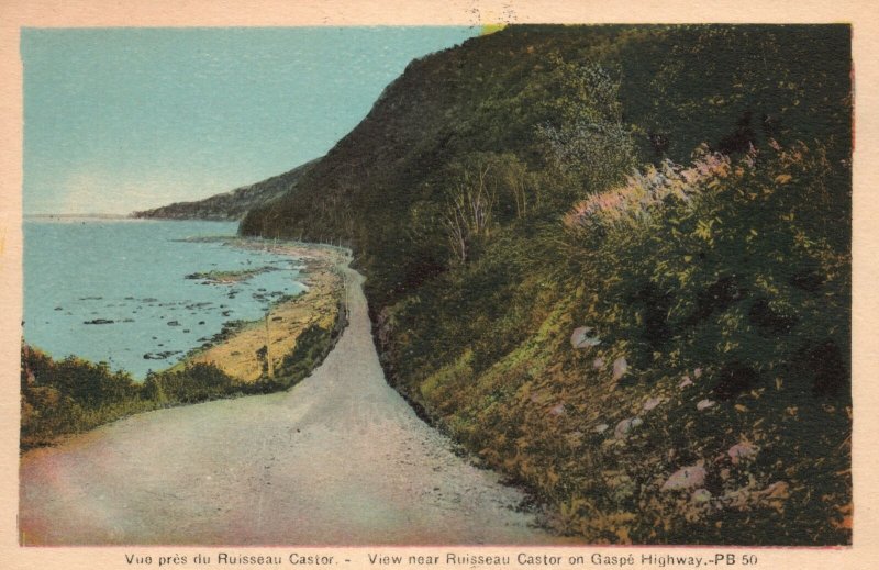 Vintage Postcard 1920's View Near Ruisseau Castor on Gaspe Highway Quebec Canada