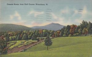 Vermont Waterbury Camels Hump From Golf Course 1942