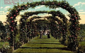 Connecticut Hartford  Elizabeth Park Rose Garden Crimson Ramblers 1912