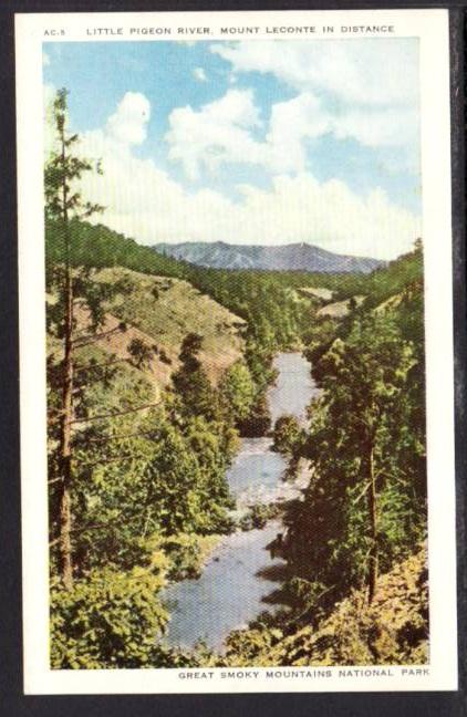 Little Pigeon River Great Smoky Mountains Postcard 4096