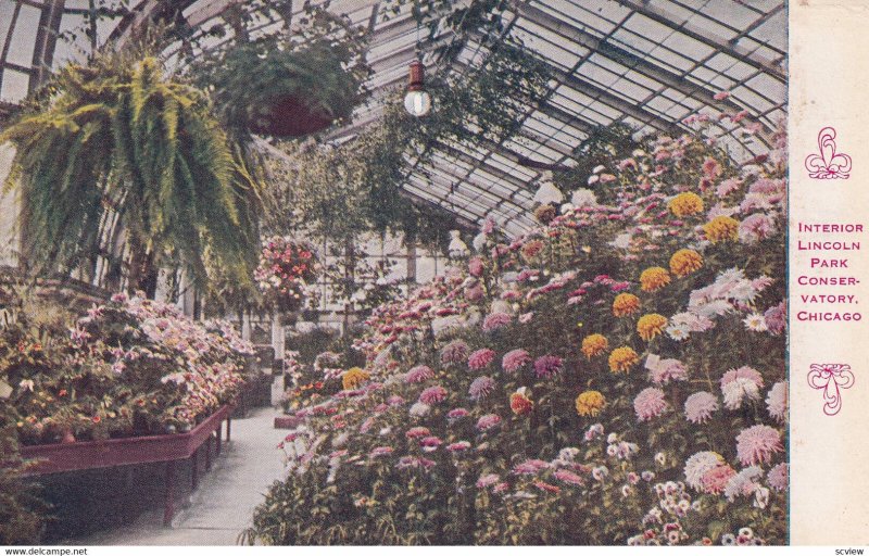 CHICAGO, Illinois, 1900-1910s; Interior Lincoln Park Conservatory