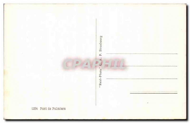 Old Postcard Algeria Palms Bridge