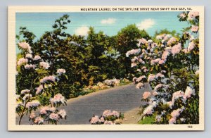 Mountain Laurel On Skyline Drive Near Swift Run Gap Virginia Unposted Linen