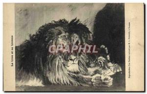 Old Postcard Felin Lion and Lioness