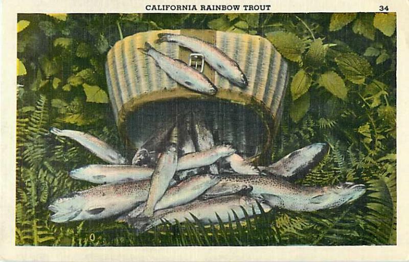 Linen Card of California Rainbow Trout, Fishing Results, CA