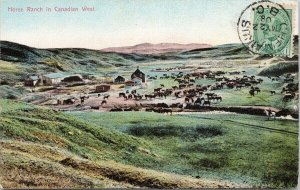 Horse Ranch in Canadian West Canada Prairies Horses c1908 Postcard F40