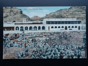 Africa Yemen Aden Camp CAMEL MARKET - Old Postcard by J.M. Judah